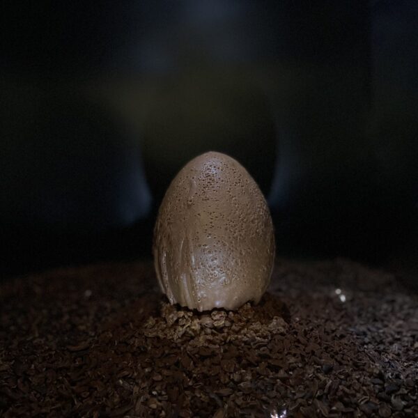 Oeuf "météore" - Brandon Dehan - Chocolaterie Baumanière