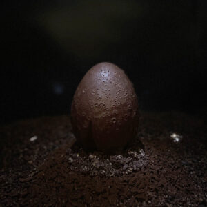 Oeuf "Météore" - Brandon Dehan - Chocolaterie Baumanière