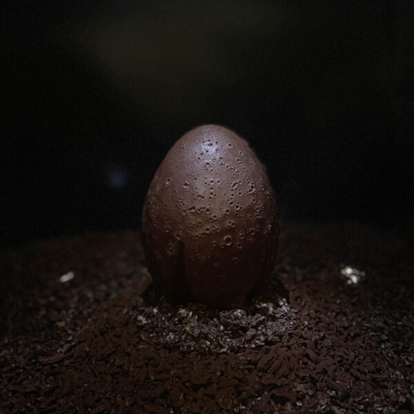 Oeuf "Météore" - Brandon Dehan - Chocolaterie Baumanière