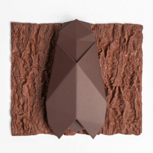 La Cigale - praliné au thym